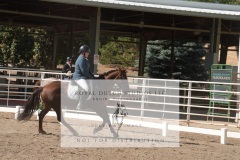 HCWE-Sept-Sun-Dressage-0177-3