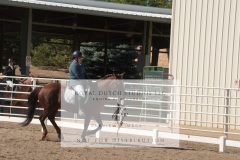 HCWE-Sept-Sun-Dressage-0178-3