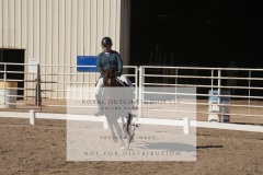 HCWE-Sept-Sun-Dressage-0179-3