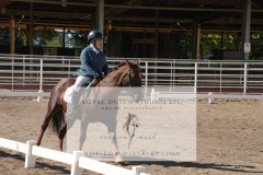 HCWE-Sept-Sun-Dressage-0184-3