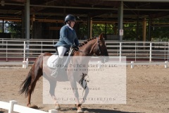 HCWE-Sept-Sun-Dressage-0185-3