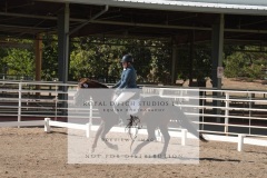 HCWE-Sept-Sun-Dressage-0187-3