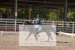 HCWE-Sept-Sun-Dressage-0188-3