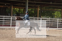 HCWE-Sept-Sun-Dressage-0189-3
