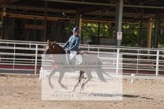 HCWE-Sept-Sun-Dressage-0190-3