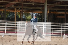 HCWE-Sept-Sun-Dressage-0192-3