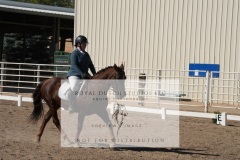 HCWE-Sept-Sun-Dressage-0194-3