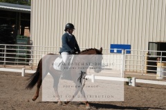 HCWE-Sept-Sun-Dressage-0195-3