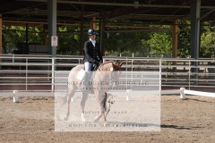 HCWE-Sept-Sun-Dressage-0196-3