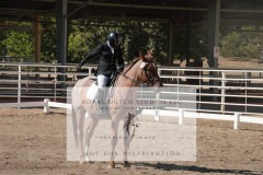 HCWE-Sept-Sun-Dressage-0197-3