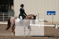 HCWE-Sept-Sun-Dressage-0198-3