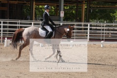 HCWE-Sept-Sun-Dressage-0199-3