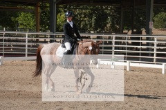 HCWE-Sept-Sun-Dressage-0200-3