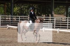 HCWE-Sept-Sun-Dressage-0201-3