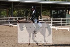 HCWE-Sept-Sun-Dressage-0202-3
