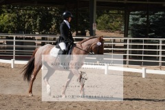 HCWE-Sept-Sun-Dressage-0204-3