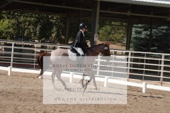 HCWE-Sept-Sun-Dressage-0206-3