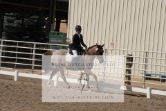 HCWE-Sept-Sun-Dressage-0207-3