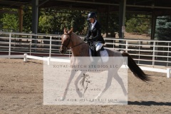 HCWE-Sept-Sun-Dressage-0208-3