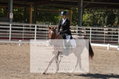 HCWE-Sept-Sun-Dressage-0209-3