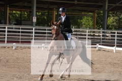 HCWE-Sept-Sun-Dressage-0210-3