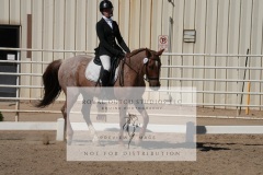HCWE-Sept-Sun-Dressage-0211-3