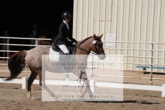 HCWE-Sept-Sun-Dressage-0214-3