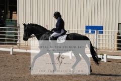 HCWE-Sept-Sun-Dressage-0215-3