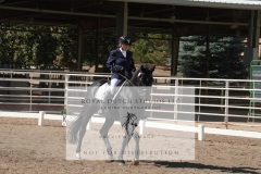 HCWE-Sept-Sun-Dressage-0217-3