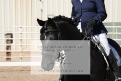 HCWE-Sept-Sun-Dressage-0218-3