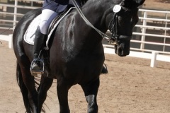 HCWE-Sept-Sun-Dressage-0219-3