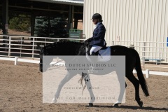 HCWE-Sept-Sun-Dressage-0220-3