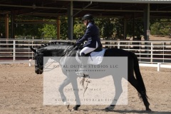 HCWE-Sept-Sun-Dressage-0221-3