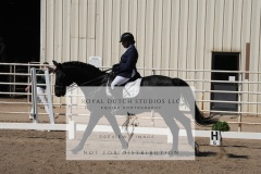 HCWE-Sept-Sun-Dressage-0225-3