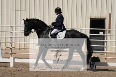 HCWE-Sept-Sun-Dressage-0227-3
