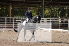 HCWE-Sept-Sun-Dressage-0228-3