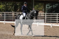 HCWE-Sept-Sun-Dressage-0229-3
