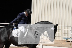 HCWE-Sept-Sun-Dressage-0230-3