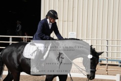 HCWE-Sept-Sun-Dressage-0231-3