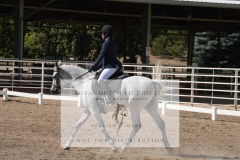 HCWE-Sept-Sun-Dressage-0233-3