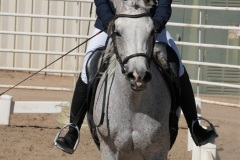 HCWE-Sept-Sun-Dressage-0235-3