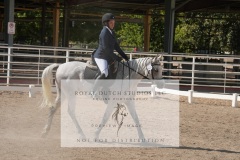 HCWE-Sept-Sun-Dressage-0237-3