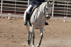 HCWE-Sept-Sun-Dressage-0238-3