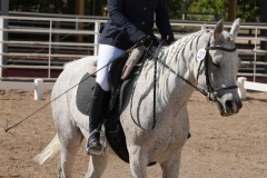 HCWE-Sept-Sun-Dressage-0239-3