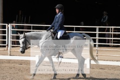 HCWE-Sept-Sun-Dressage-0240-3