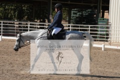 HCWE-Sept-Sun-Dressage-0241-3