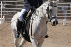 HCWE-Sept-Sun-Dressage-0242-3