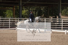 HCWE-Sept-Sun-Dressage-0243-3