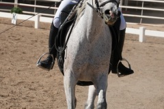 HCWE-Sept-Sun-Dressage-0245-3