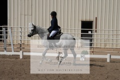 HCWE-Sept-Sun-Dressage-0246-3